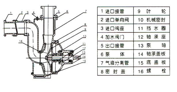 ZW型自吸式无堵塞排污泵（结构图纸）