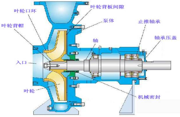 离心泵结构图